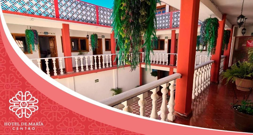 Hotel De Mariacentro Сан-Кристобаль-де-Ла-Касас Экстерьер фото